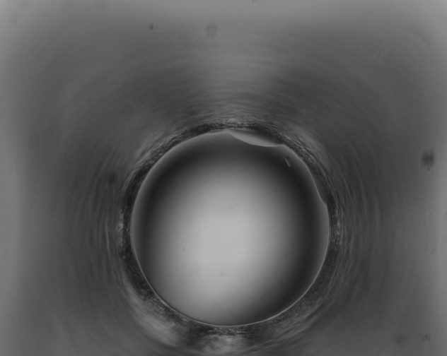 X0000089970552200707061203