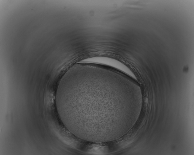X0000089970555200707061203