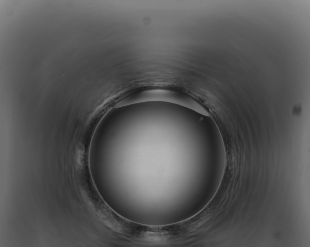X0000089970556200707061203