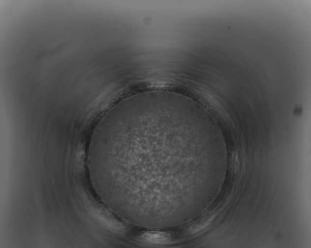 X0000089970557200707061203