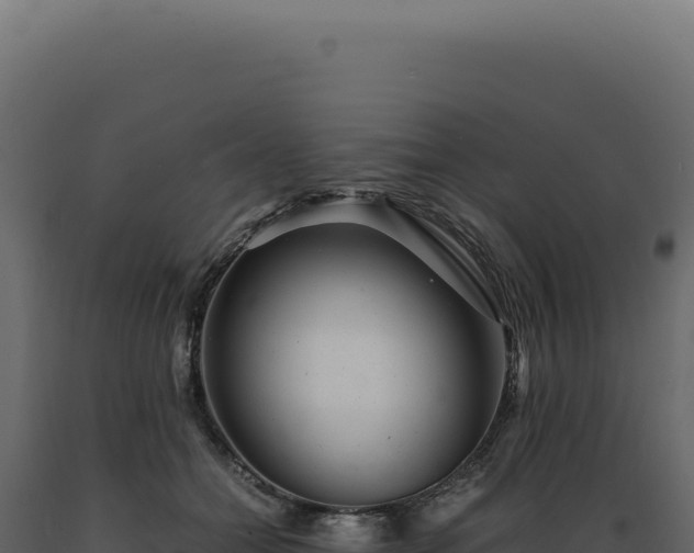 X0000089970558200707061203