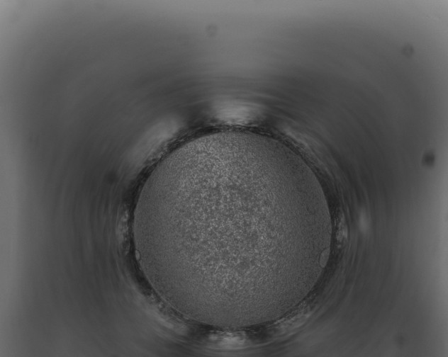 X0000089970559200707061203