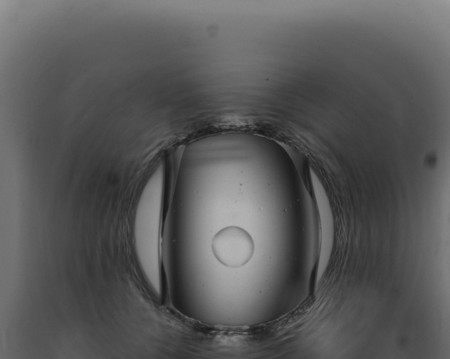 X0000089970560200707061203