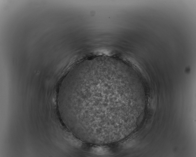 X0000089970561200707061203