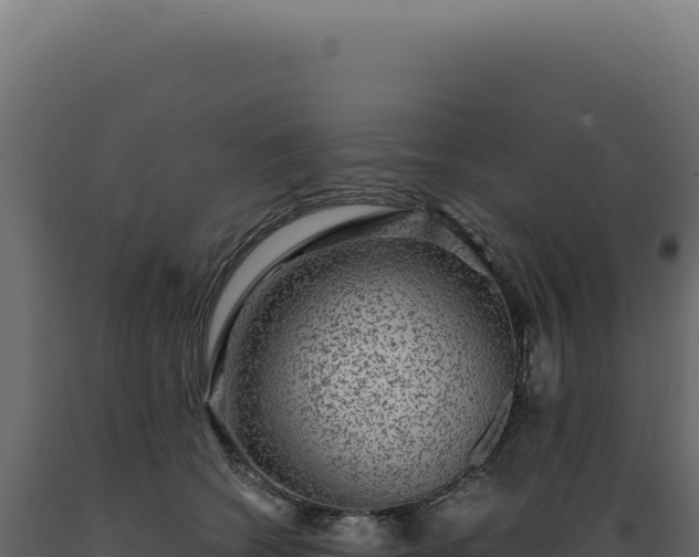 X0000089970562200707061203