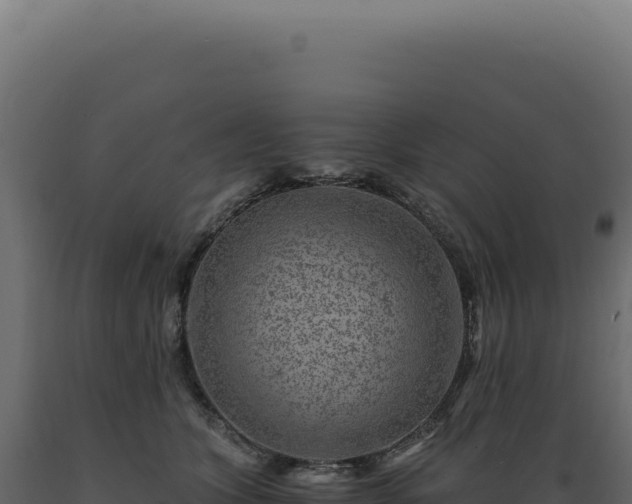 X0000089970563200707061203