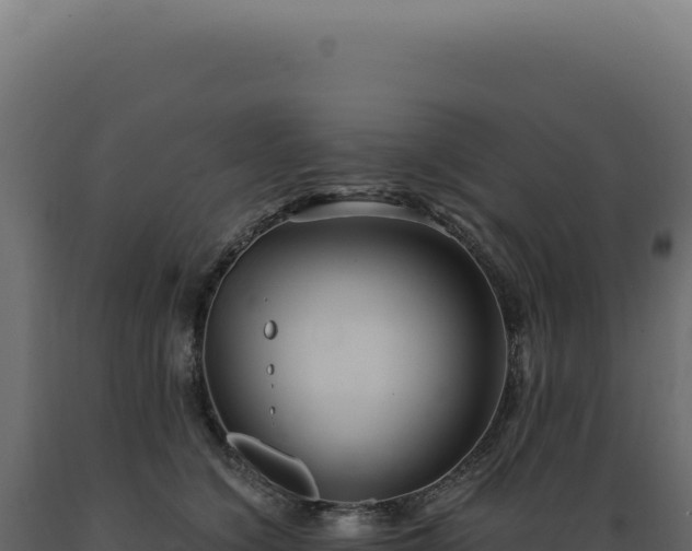 X0000089970564200707061203
