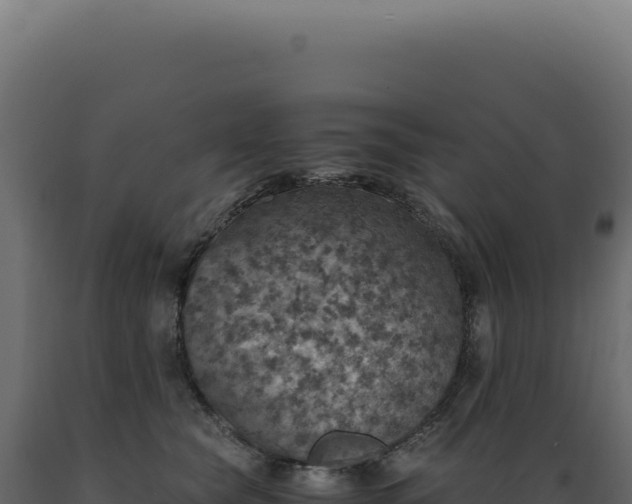 X0000089970565200707061203