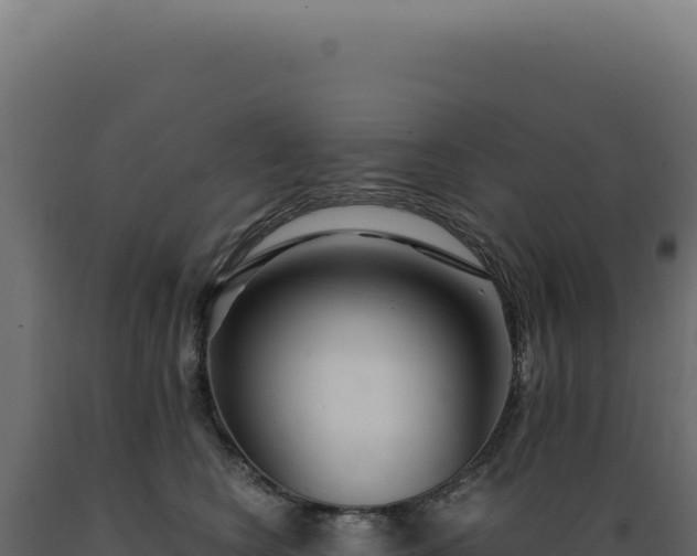 X0000089970566200707061203