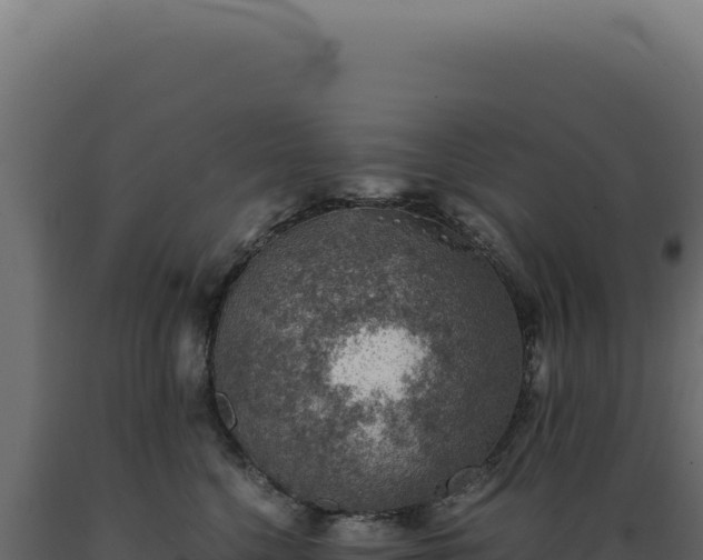 X0000089970568200707061203