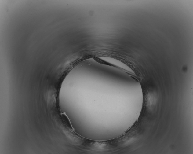 X0000089970570200707061203