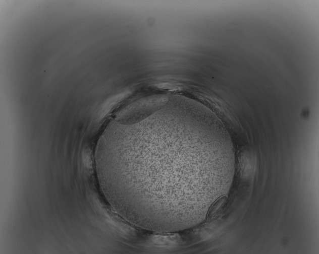 X0000089970571200707061203