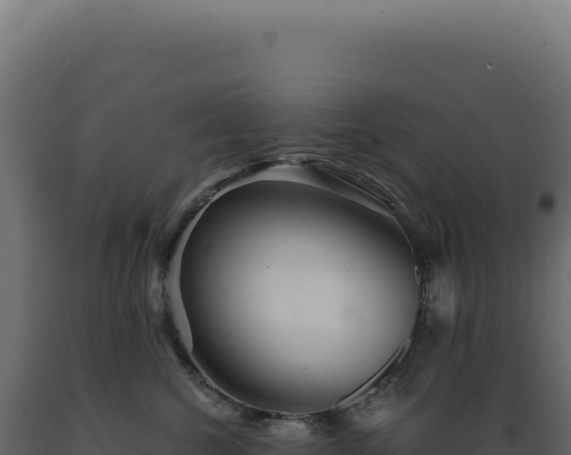 X0000089970572200707061203