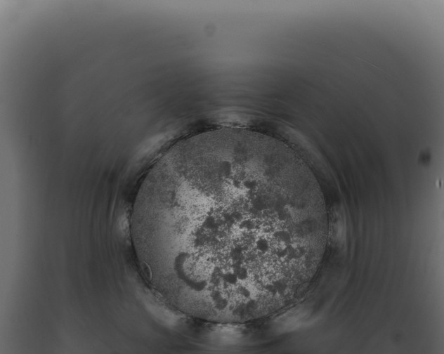 X0000089970573200707061203