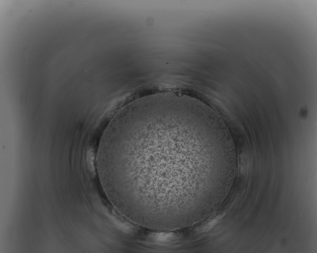 X0000089970575200707061203
