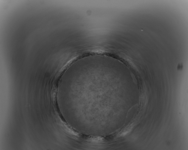 X0000089970576200707061203