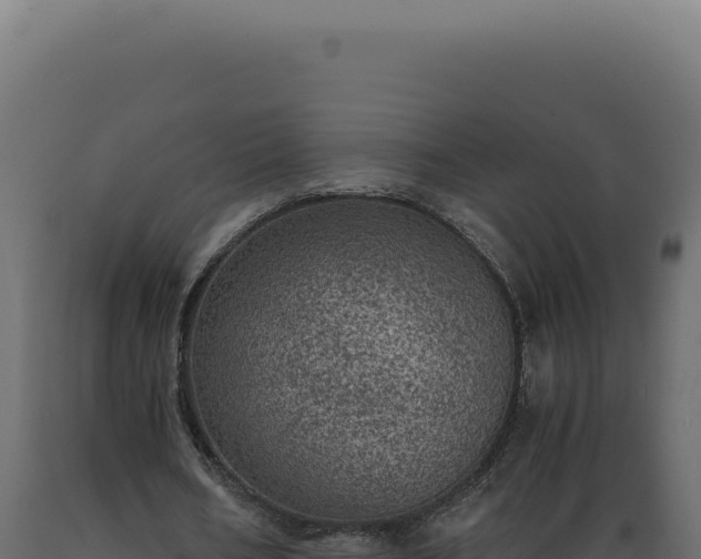 X0000089970578200707061202
