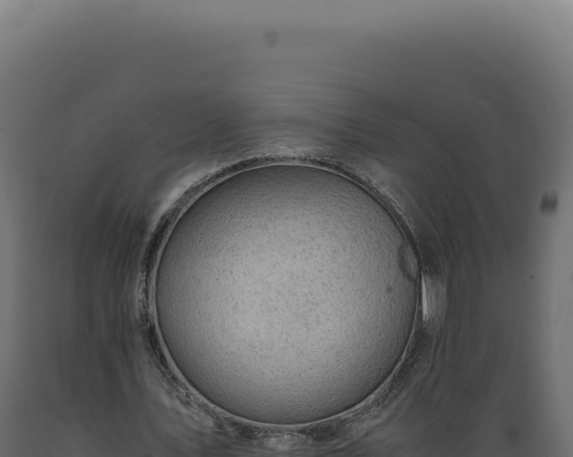 X0000089970579200707061202
