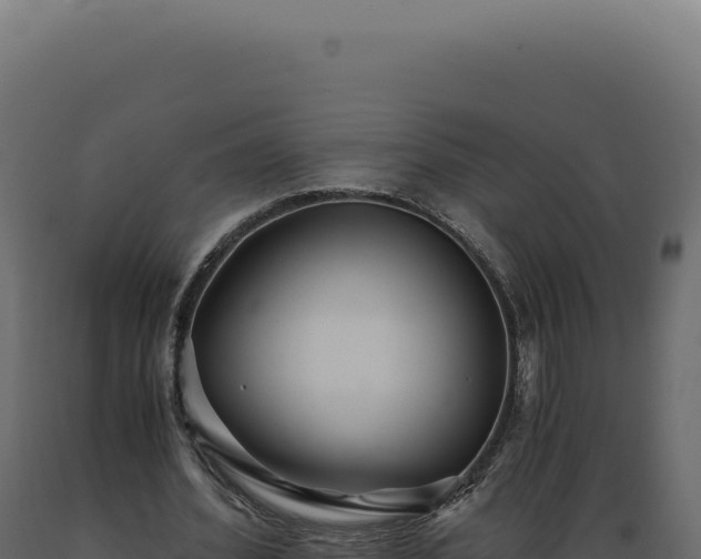 X0000089970580200707061202