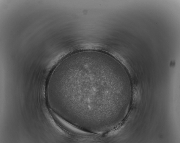 X0000089970581200707061202