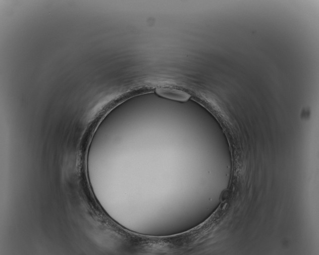 X0000089970583200707061202