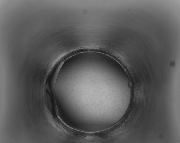 X0000089970584200707061202