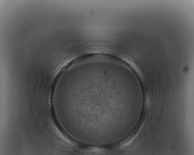 X0000089970585200707061202