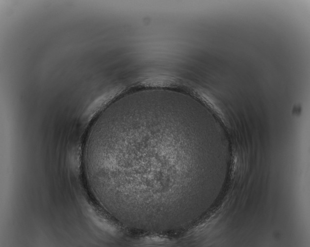 X0000089970586200707061202