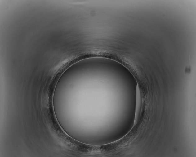X0000089970587200707061202
