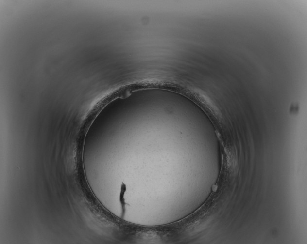 X0000089970588200707061202