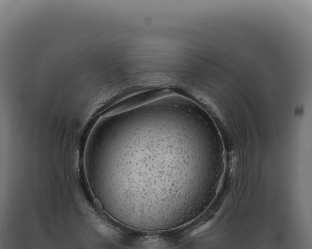 X0000089970589200707061202