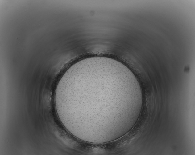 X0000089970592200707061202