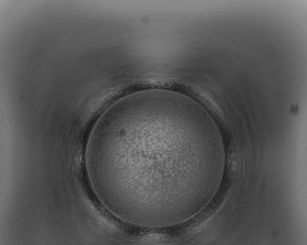 X0000089970593200707061202