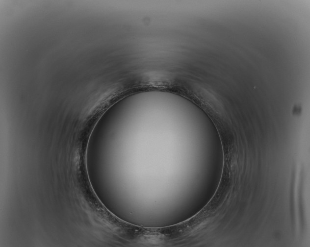 X0000089970595200707061202
