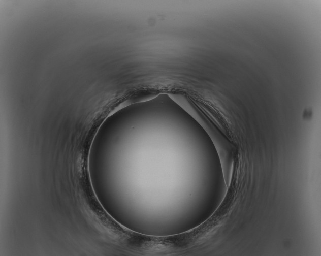 X0000089970597200707061202