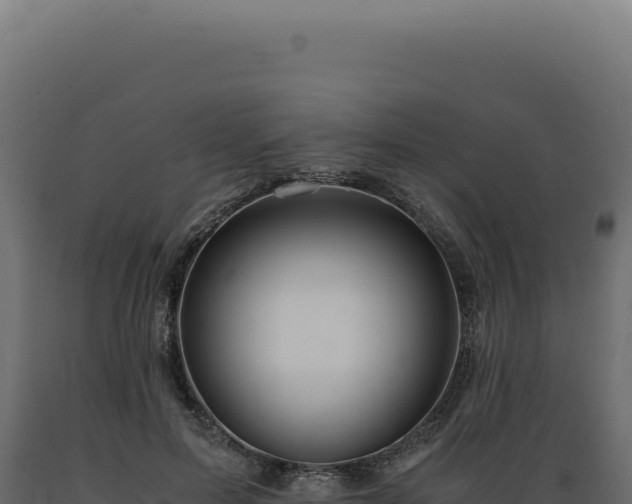 X0000089970599200707061202