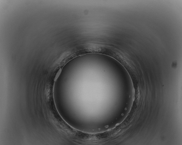 X0000089970600200707061202