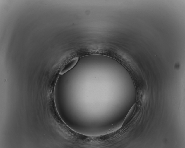 X0000089970601200707061202