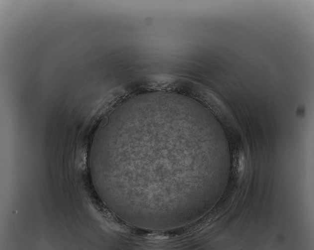 X0000089970602200707061202