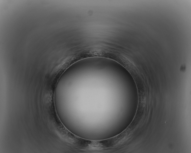 X0000089970603200707061202