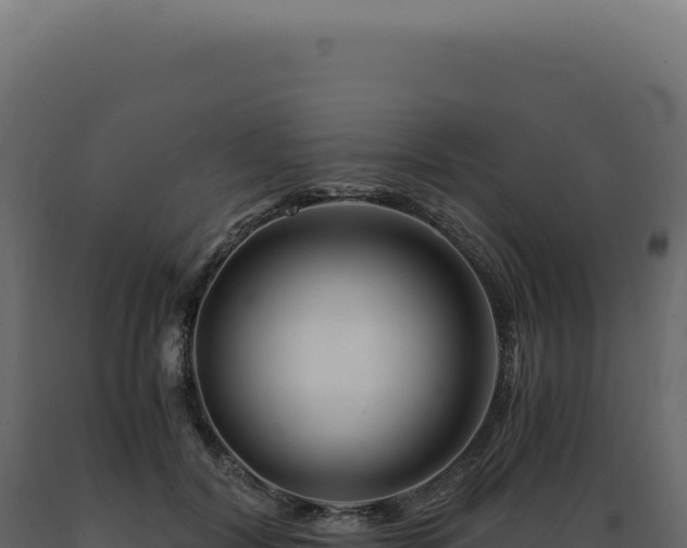 X0000089970604200707061202