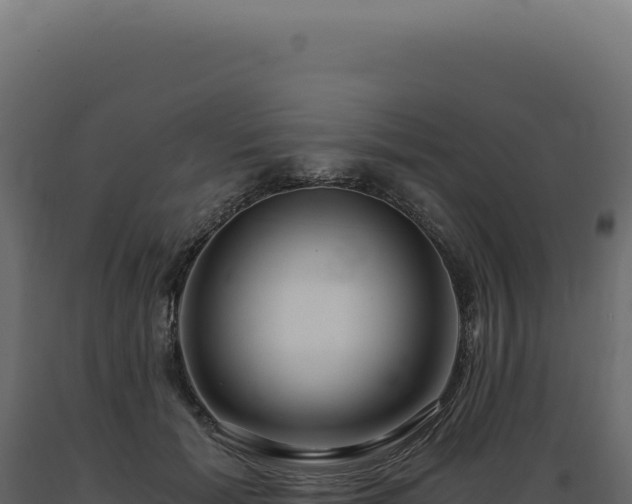 X0000089970605200707061202