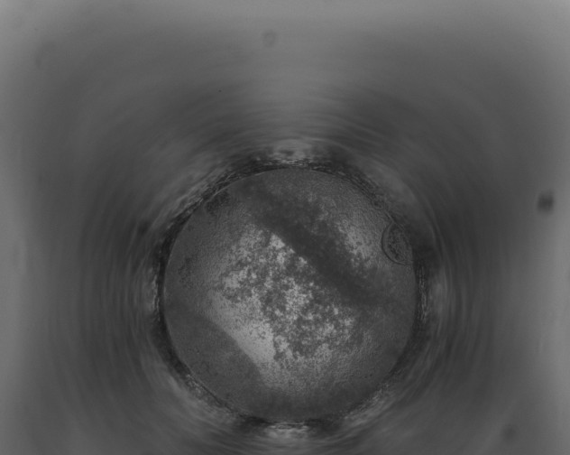 X0000089970606200707061202