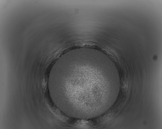 X0000089970607200707061202