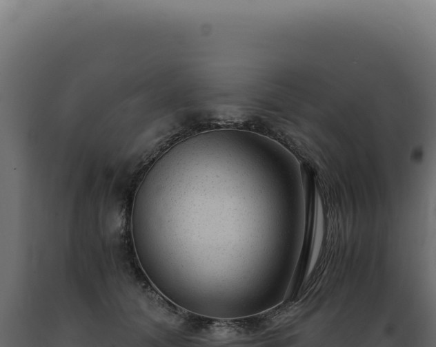 X0000089970608200707061202