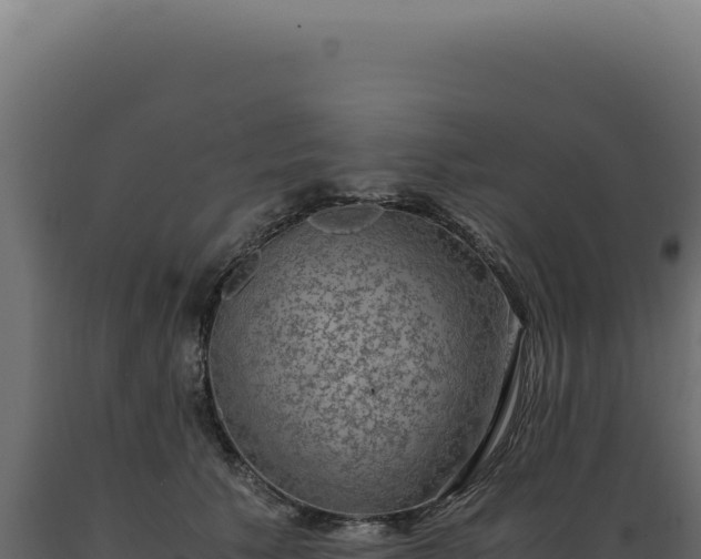 X0000089970609200707061202
