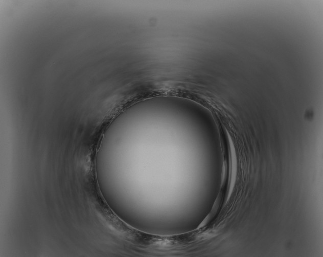 X0000089970611200707061202