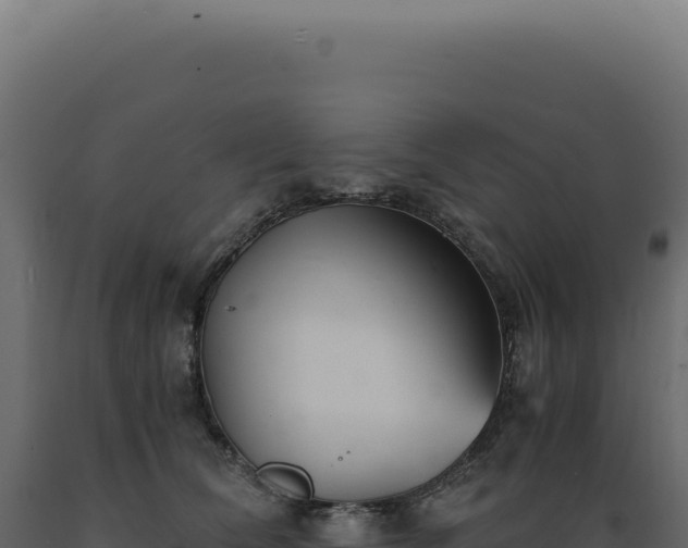 X0000089970612200707061202