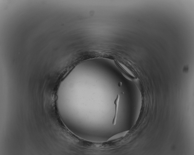 X0000089970613200707061202
