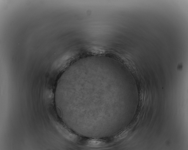 X0000089970614200707061202